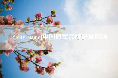 祁东中国冠军品牌是真的吗