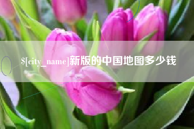 祁东新版的中国地图多少钱