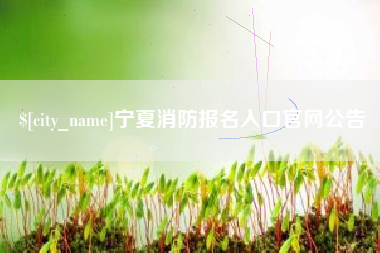 祁东宁夏消防报名入口官网公告