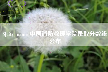 祁东中国消防救援学院录取分数线公布
