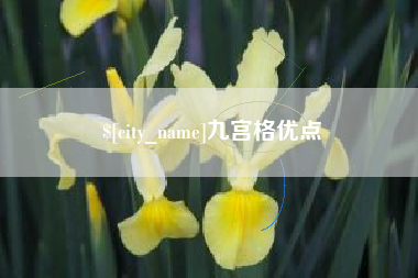 祁东九宫格优点
