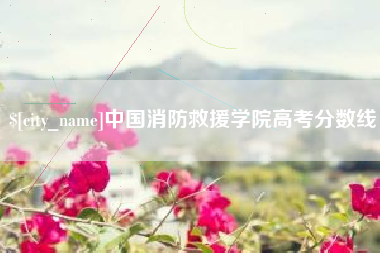 祁东中国消防救援学院高考分数线