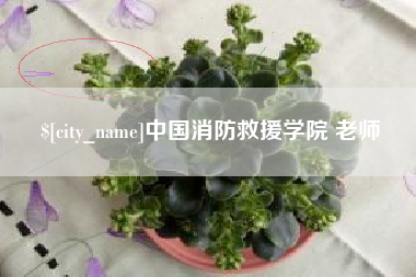 祁东中国消防救援学院 老师
