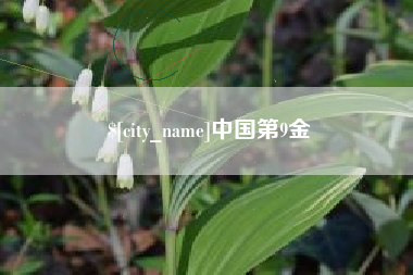 祁东中国第9金