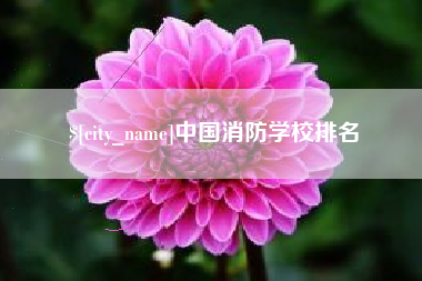 祁东中国消防学校排名