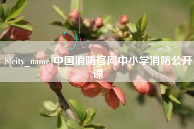祁东中国消防官网中小学消防公开课