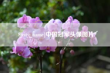 祁东中国冠军头像图片