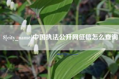 祁东中国执法公开网征信怎么查询