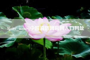 祁东中国消防网官网入口网址