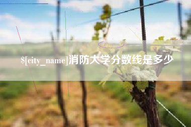 祁东消防大学分数线是多少