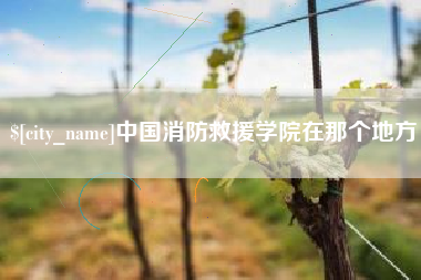 祁东中国消防救援学院在那个地方