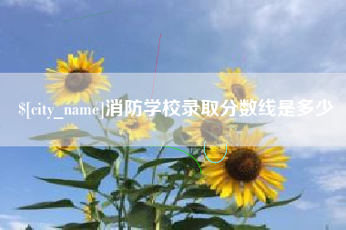 祁东消防学校录取分数线是多少