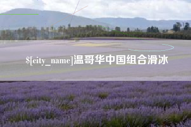 祁东温哥华中国组合滑冰