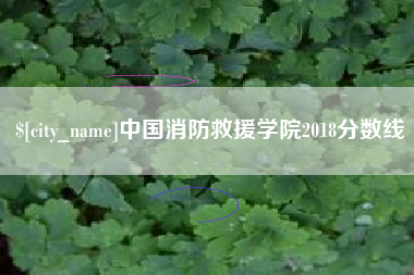 祁东中国消防救援学院2018分数线