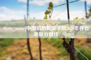 祁东中国消防救援学院2020年各省录取分数线