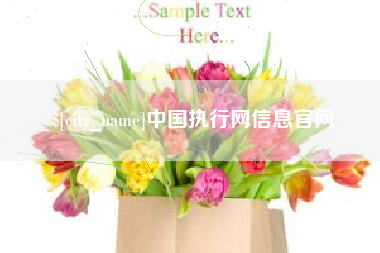 祁东中国执行网信息官网