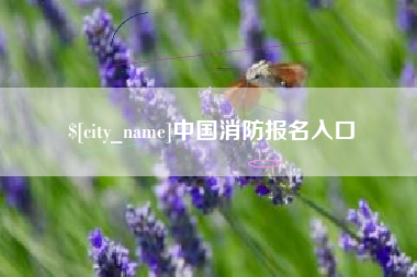 祁东中国消防报名入口