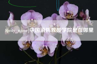 祁东中国消防救援学院是在哪里