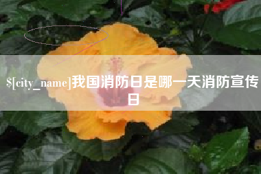 祁东我国消防日是哪一天消防宣传日