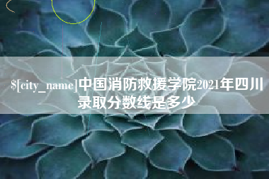 祁东中国消防救援学院2021年四川录取分数线是多少