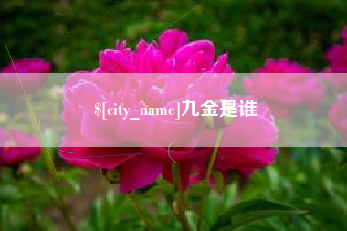 祁东九金是谁