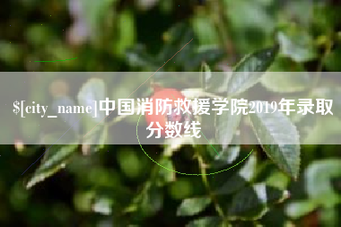 祁东中国消防救援学院2019年录取分数线
