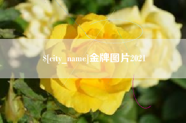 祁东金牌图片2021