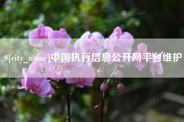 祁东中国执行信息公开网平台维护