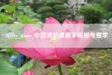 祁东中国消防救援学院报考要求