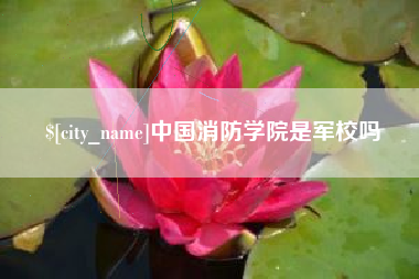 祁东中国消防学院是军校吗