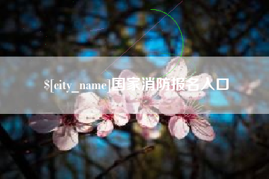 祁东国家消防报名入口