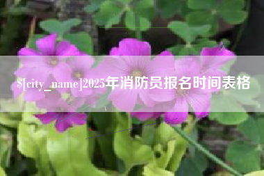 祁东2025年消防员报名时间表格