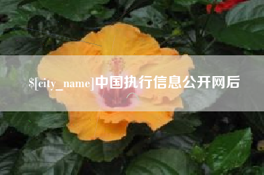 祁东中国执行信息公开网后