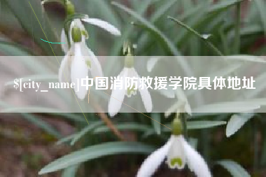 祁东中国消防救援学院具体地址