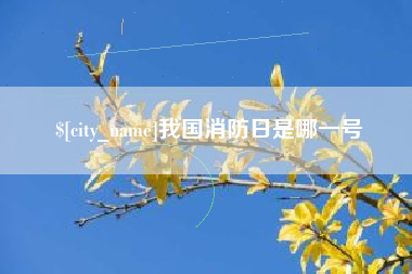 祁东我国消防日是哪一号
