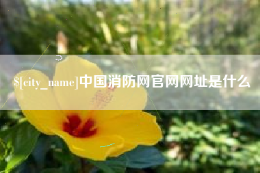 祁东中国消防网官网网址是什么