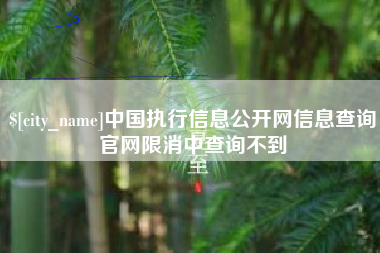 祁东中国执行信息公开网信息查询官网限消中查询不到