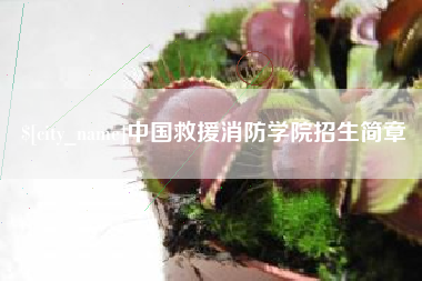 祁东中国救援消防学院招生简章
