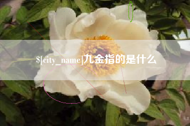 祁东九金指的是什么