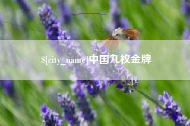 祁东中国九枚金牌