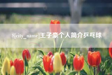 祁东王子豪个人简介乒乓球