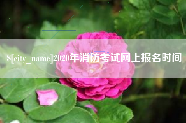 祁东2020年消防考试网上报名时间