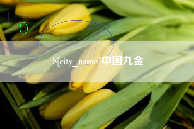 祁东中国九金