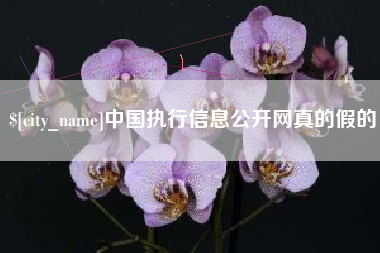 祁东中国执行信息公开网真的假的