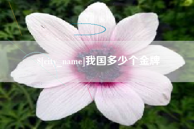 祁东我国多少个金牌