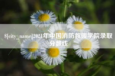 祁东2021年中国消防救援学院录取分数线