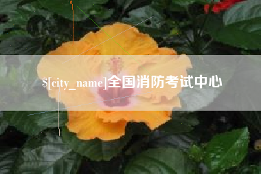 祁东全国消防考试中心