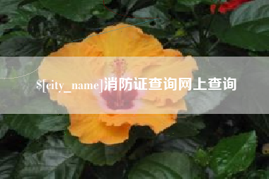 祁东消防证查询网上查询