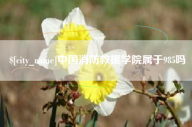 祁东中国消防救援学院属于985吗