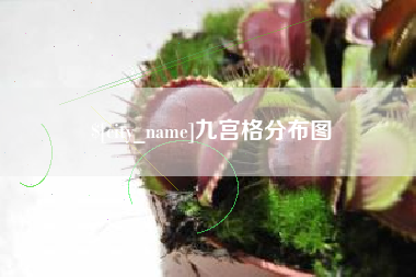 祁东九宫格分布图